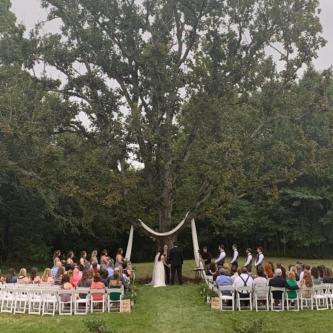 A group of people are sitting in chairs at a wedding ceremony under a tree.