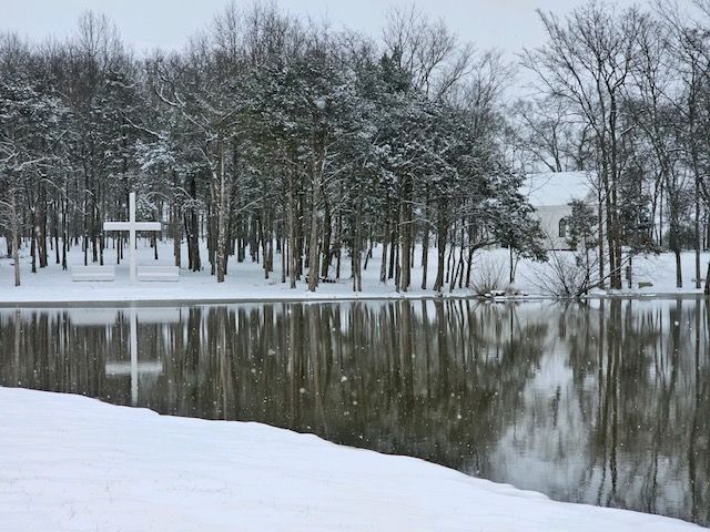 A snowy forest with a lake in the foreground