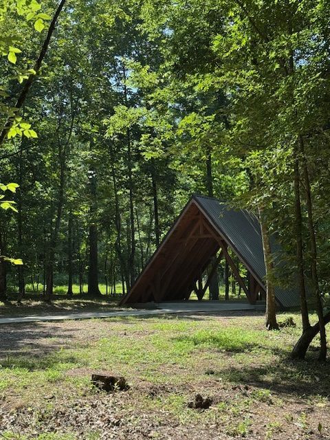 A wooden structure in the middle of a forest