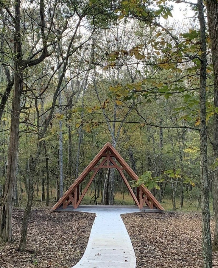 A wooden structure in the middle of a forest with a path leading to it.