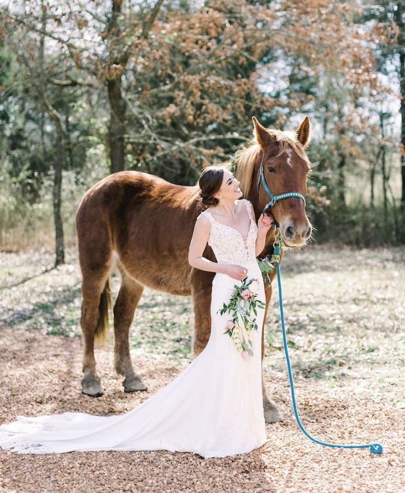 A bride in a white dress is standing next to a brown horse.