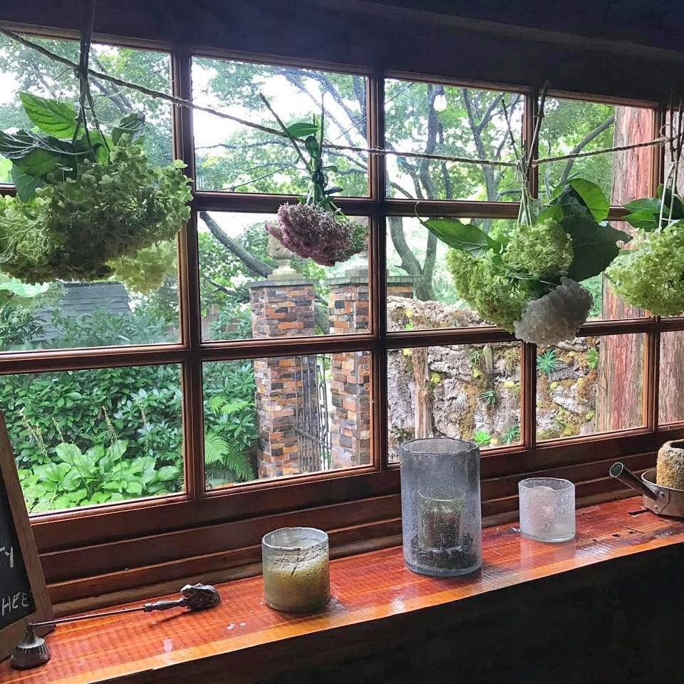 Plant pots
