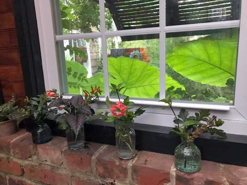 Plant bottles