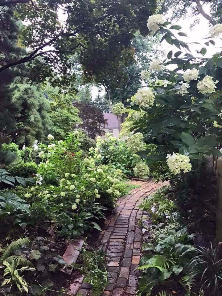 Beautiful walkway