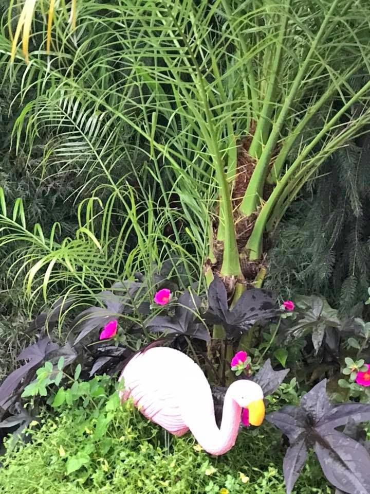 Fancy landscape decoration