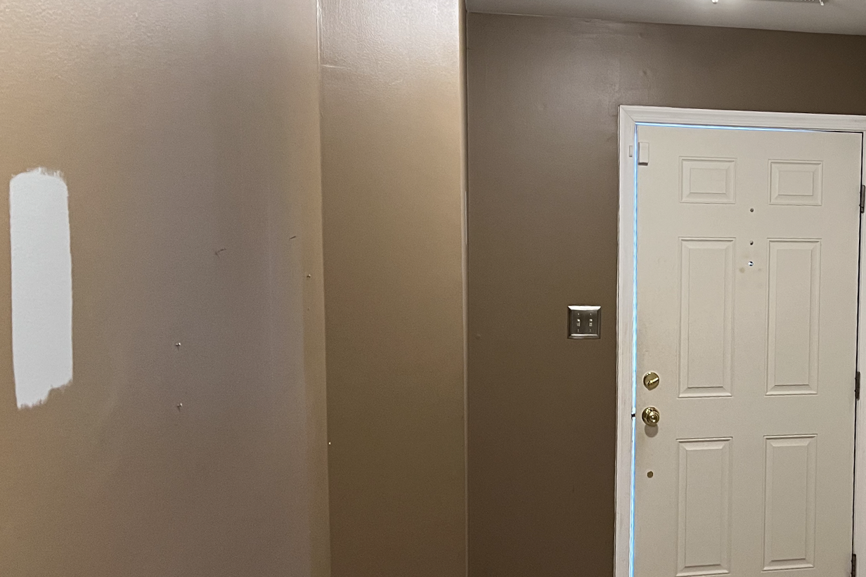 A hallway with brown walls and a white door.