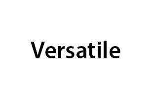 Versatile Logo