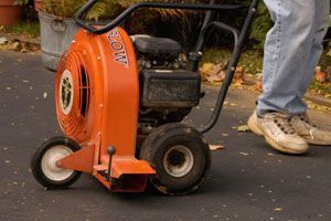 Leaf blower in a driveway