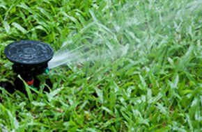Irrigation system in the lawn