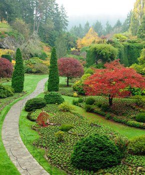 Beautiful lawn and landscaping