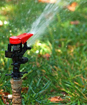Sprinkler head watering lawn