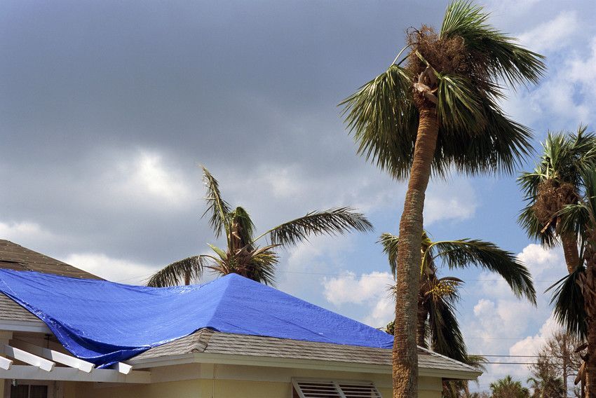 Home covered with a blue tarp on the roof as temporary protection after storm damage, with palm trees blowing in the wind.