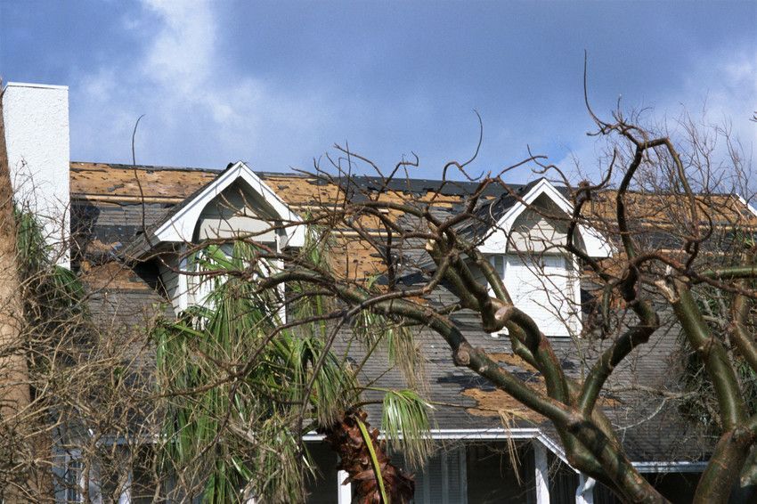 House with significant roof damage after a storm, with missing shingles and exposed underlayment visible among broken trees.