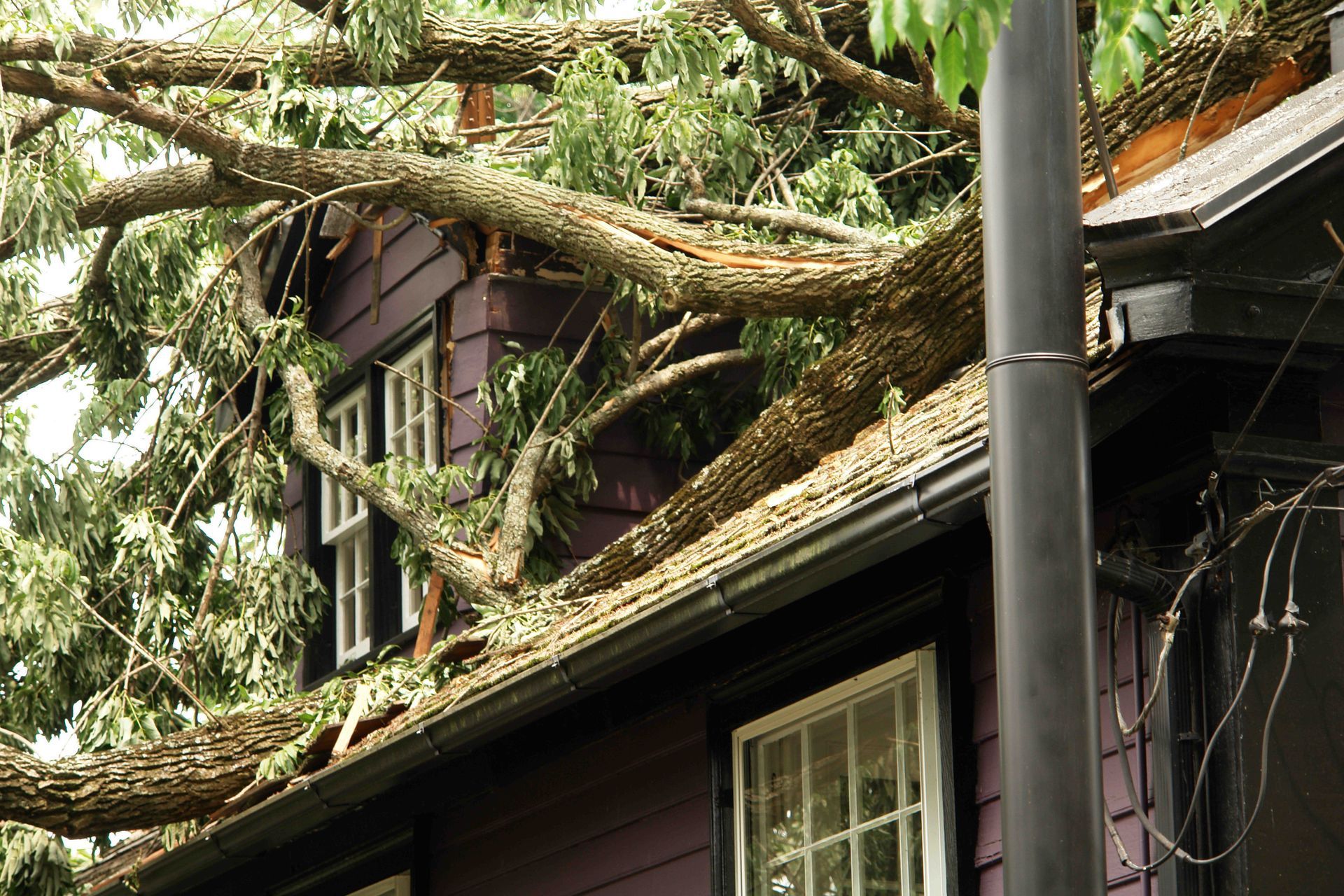 Discover the Top Roofing Solutions in Destin, FL: Why Southeast Roofing & Construction is Your Go-To for Emergencies