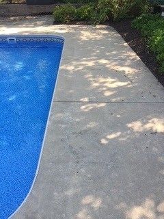 Blue swimming pool beside a light concrete patio with dappled tree shadows and shrubs along the edge