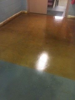 Empty hallway with shiny brown floor and a blue carpet edge in the foreground