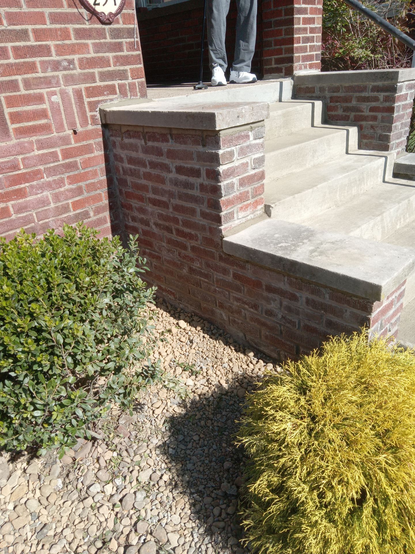 Brick front steps with concrete stairs and a person standing at the doorway, bordered by shrubs.