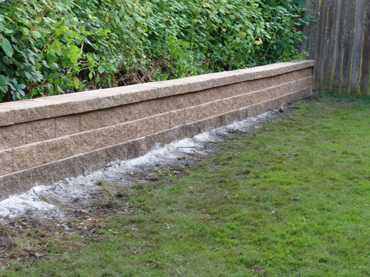 Tan retaining wall with green shrubs along a grassy backyard fence line