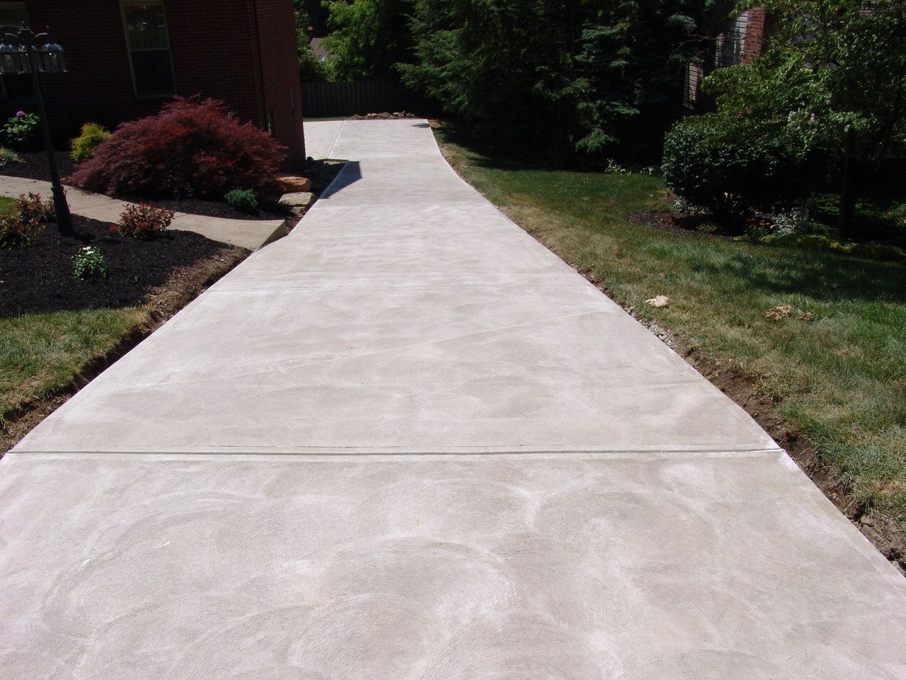 Concrete walkway through a landscaped garden with shrubs and trees on both sides