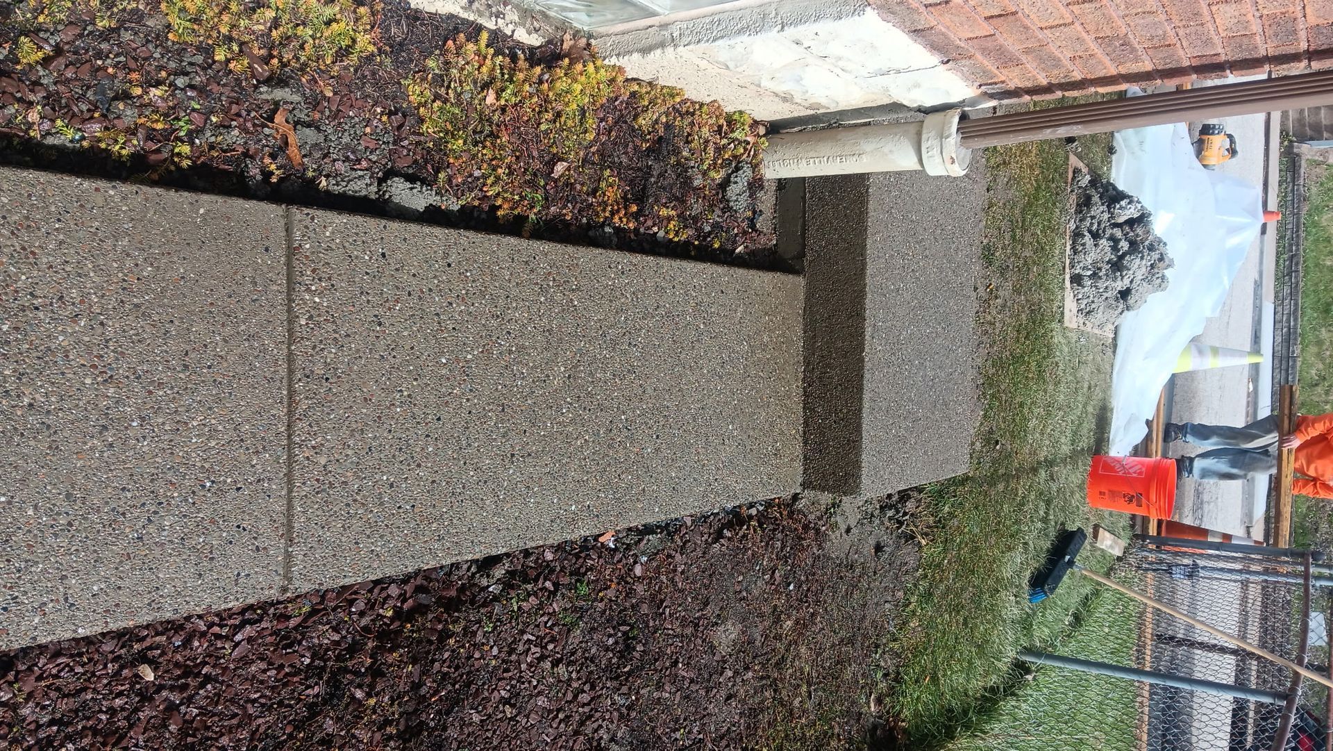 Concrete walkway beside a hedge and fence, with a house and red traffic cone in the background.