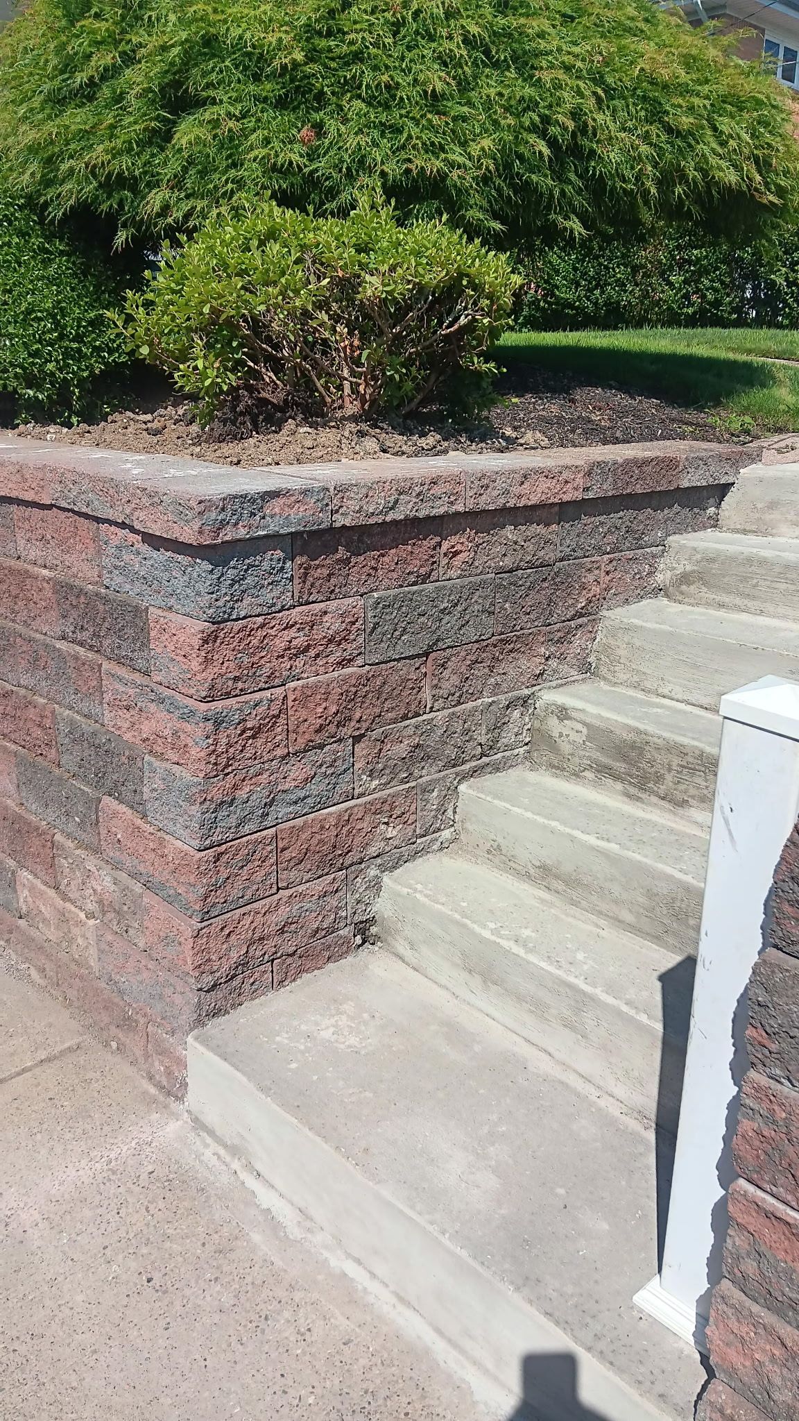 Concrete steps beside a red-brick retaining wall and trimmed green shrubbery outdoors