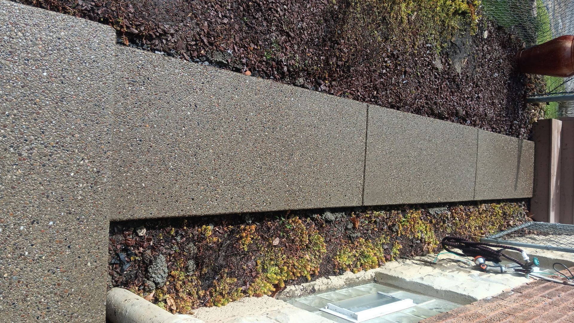 Concrete retaining wall with horizontal planter bed and colorful groundcover flowers along a walkway