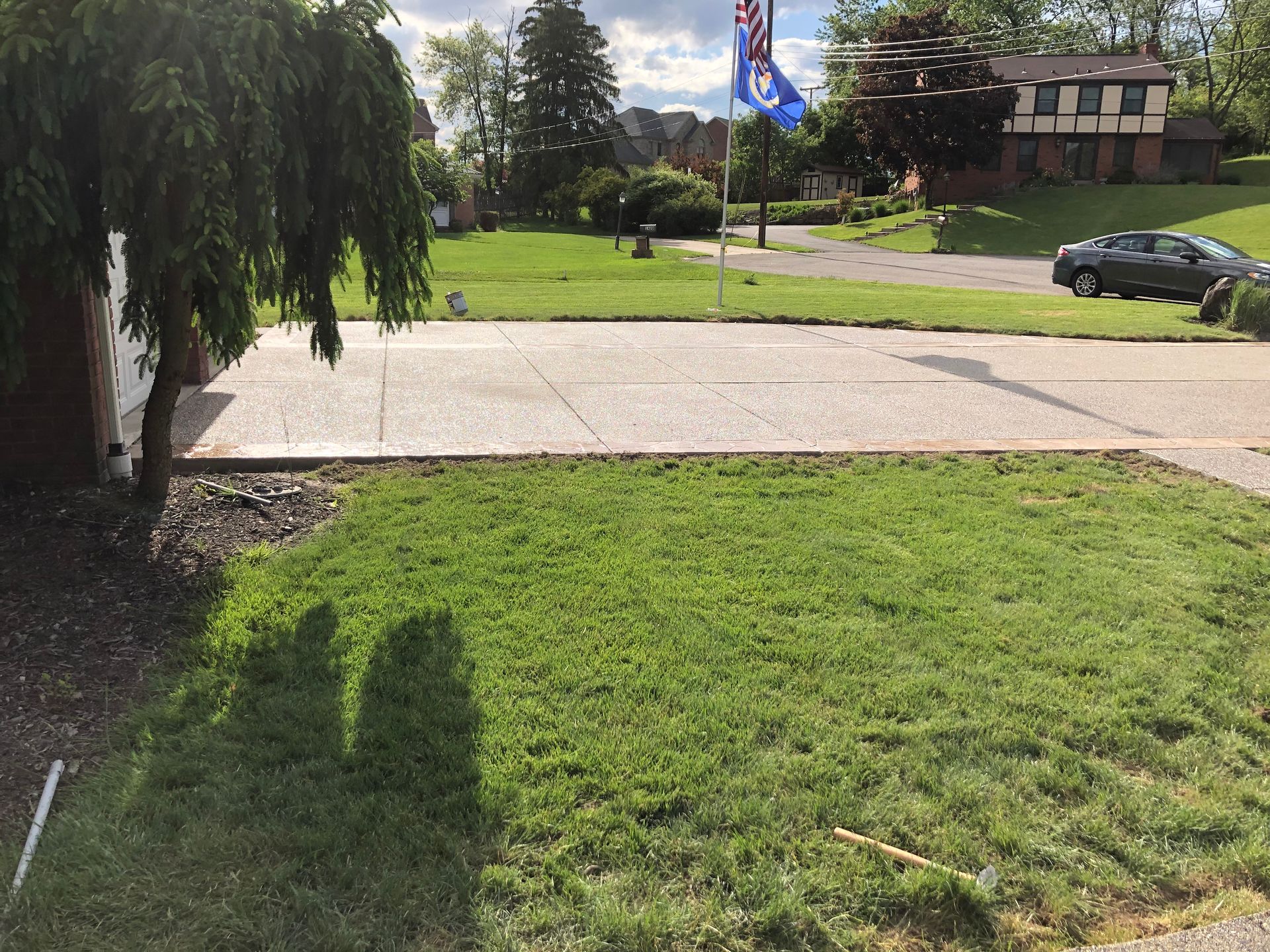 Sunny suburban lawn with a sidewalk, tree shadow, and houses and parked cars in the background