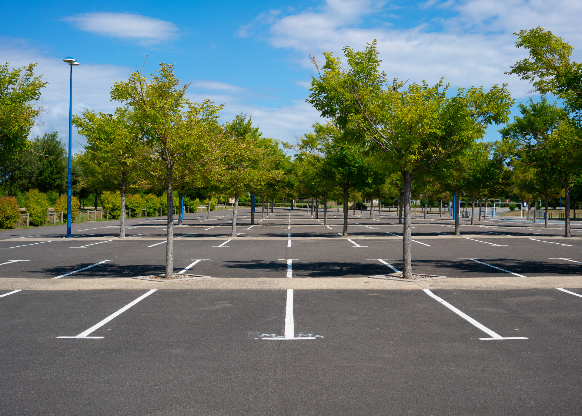 Empty parking lot with white lines and young trees under a blue sky