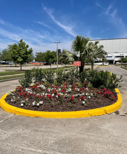 Small circular flower bed with red and white flowers, yellow curb, palm tree, and parking lot under a blue sky