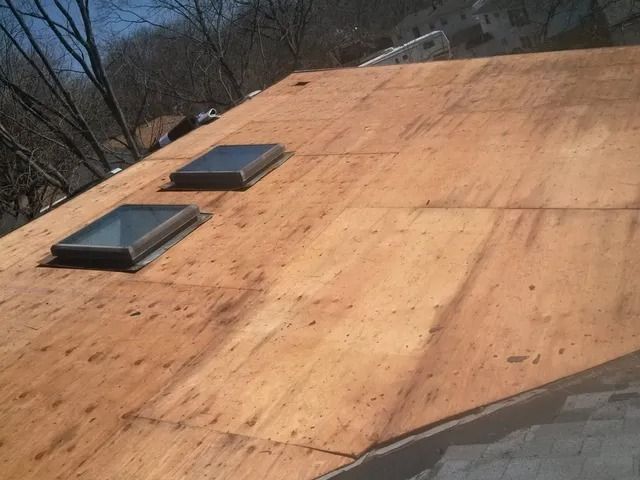 Plywood roof under construction with two skylights and bare trees in the background