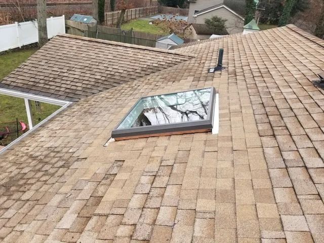 Rooftop with tan shingle roof and a skylight window, viewed from above.