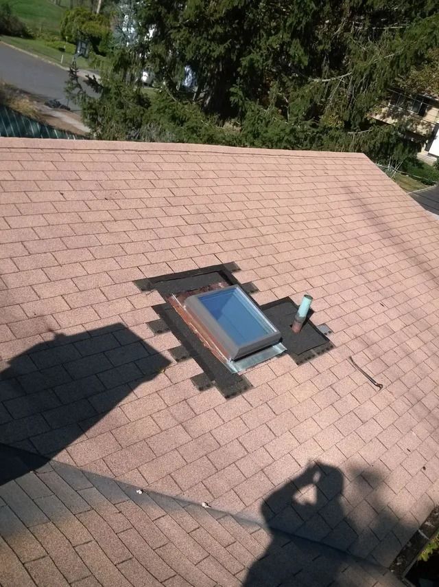 Rooftop skylight on a shingled roof with surrounding trees in the background