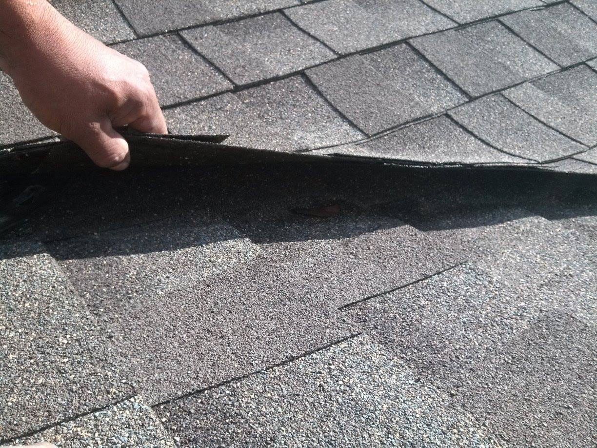 Hand lifting a shingle on a gray asphalt roof to inspect damage or roofing layers