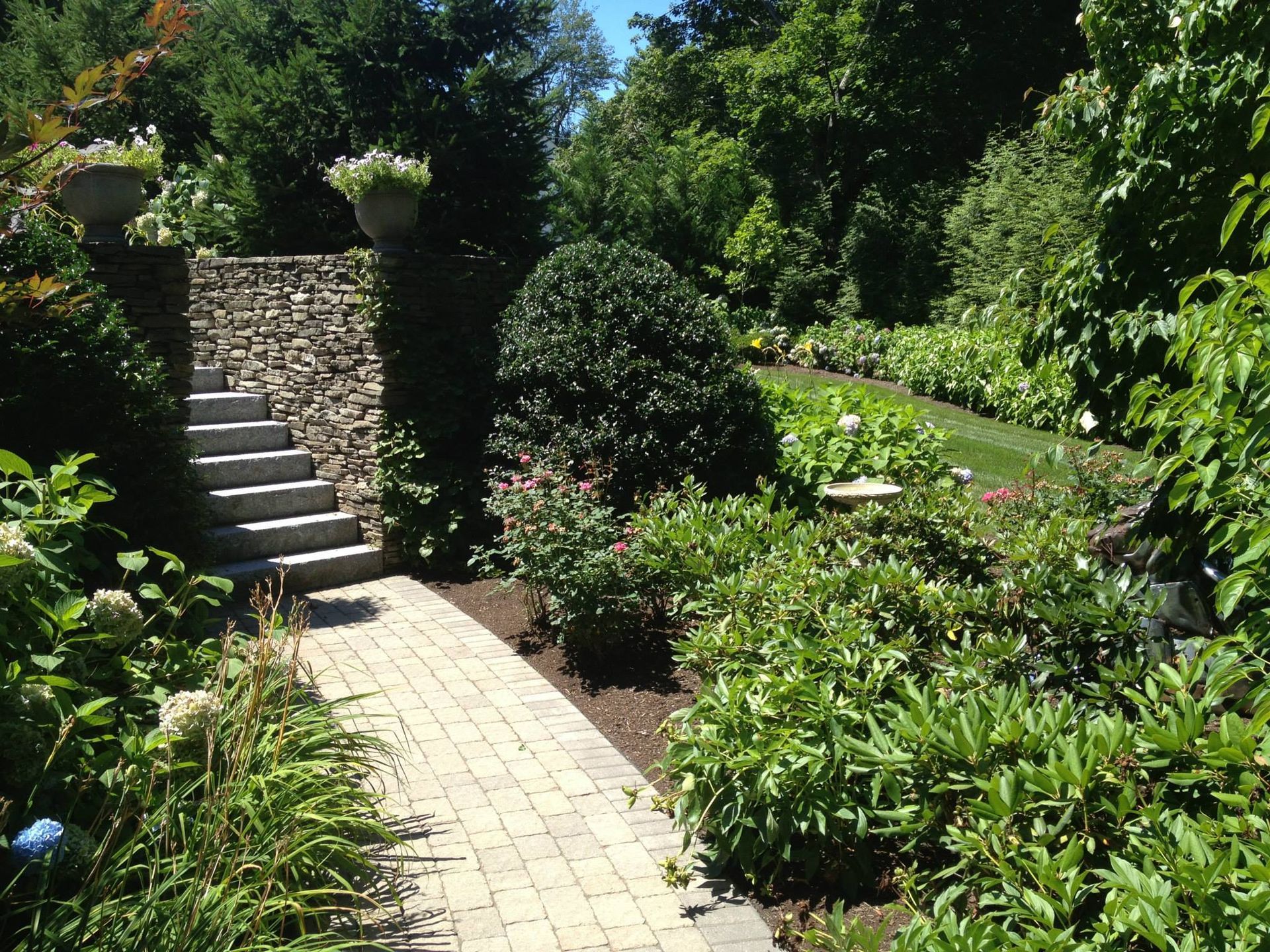 Stone steps lead up a garden path lined with lush greenery and flowers.
