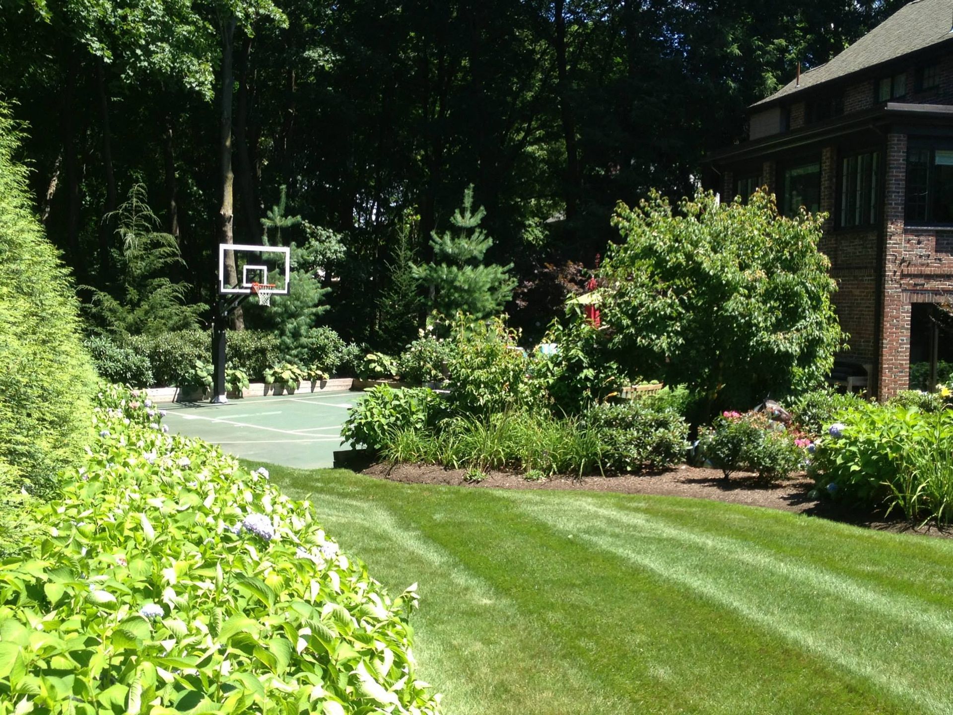 Lawn with freshly cut stripes, garden beds, and basketball court next to a brick house.