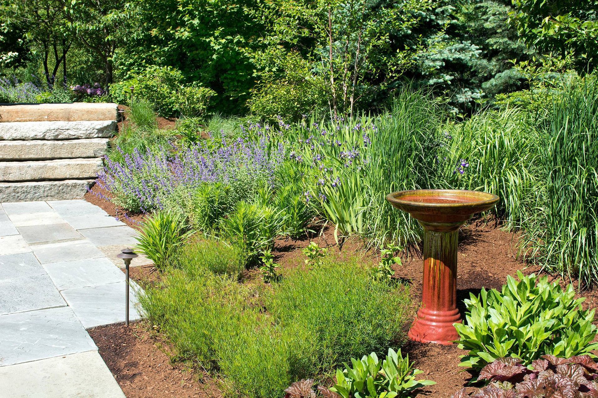 Garden with stone steps and pavers, various green plants, and a red birdbath.