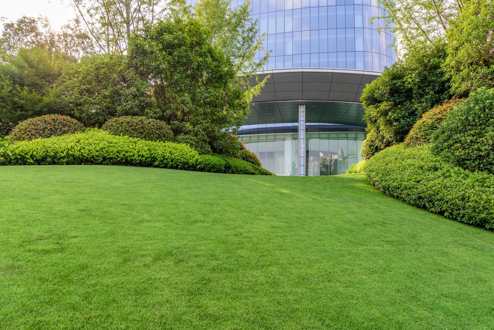 Green lawn slopes towards a modern building entrance, surrounded by bushes and trees.