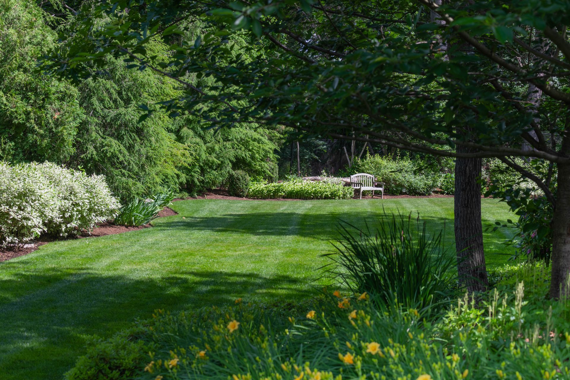 Lush green lawn with trees and yellow flowers in the foreground, a bench sits in the distance.