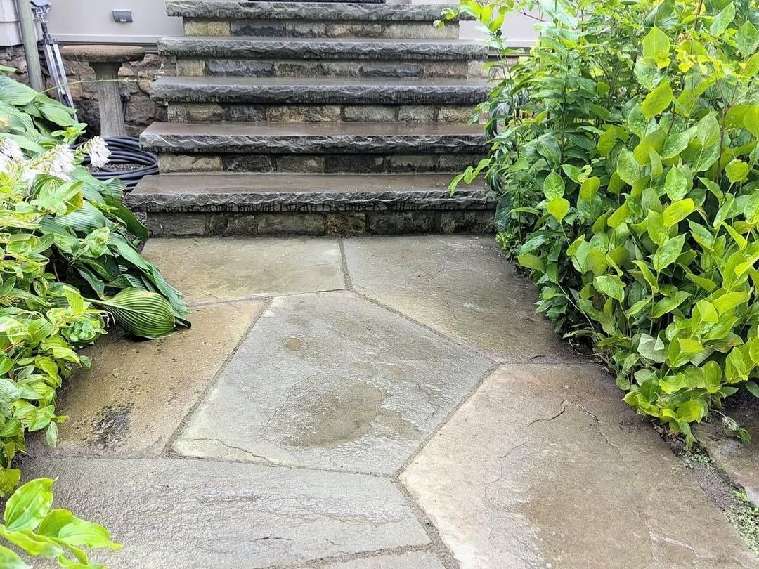 Stone path leading to stone steps, flanked by green bushes.