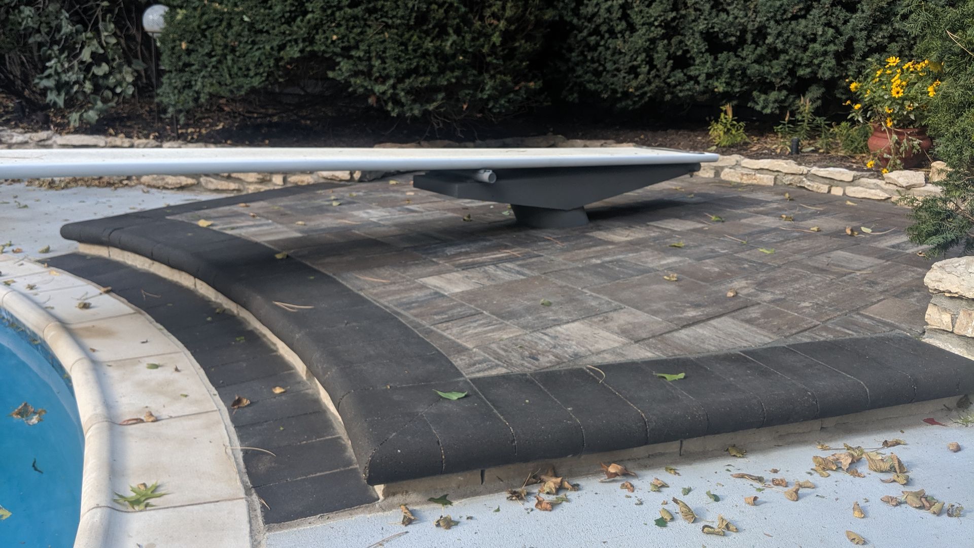 A diving board over a pool, atop a curved platform with a black border.