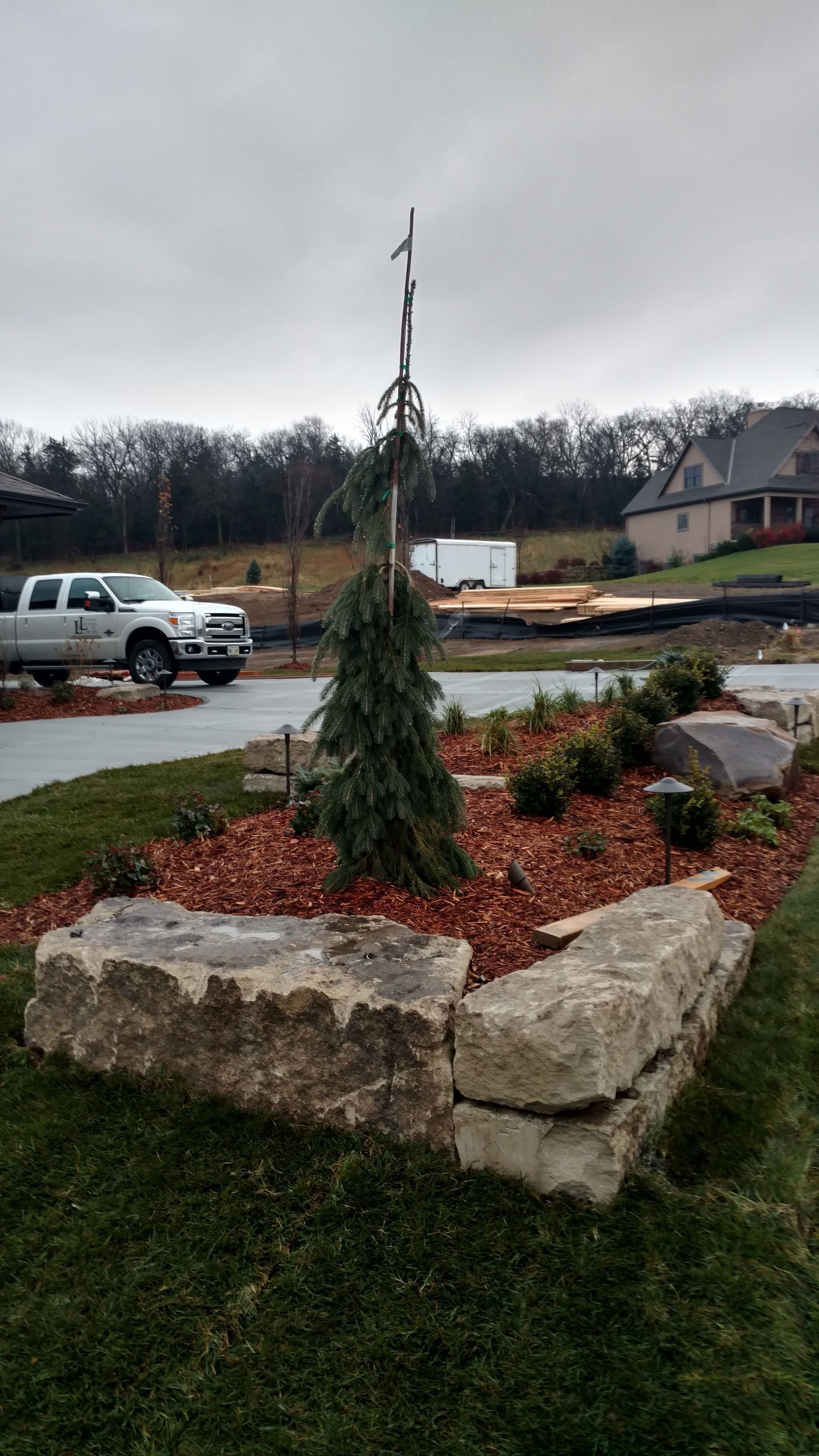 Landscaped garden bed with large stone border, small tree, and red mulch; cloudy day.