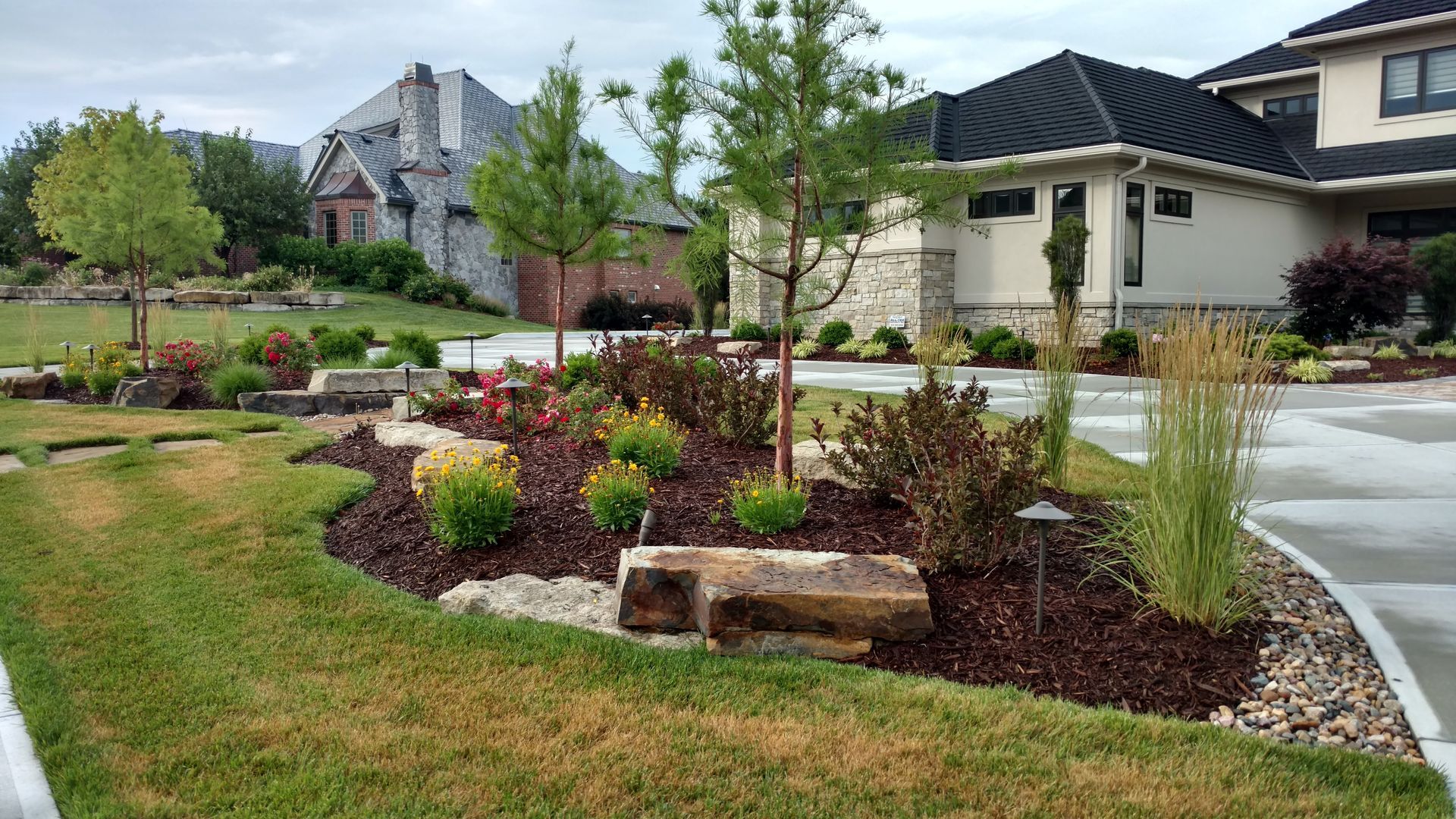 Landscaped front yard with a variety of plants, trees, and mulch, beside a house and driveway.