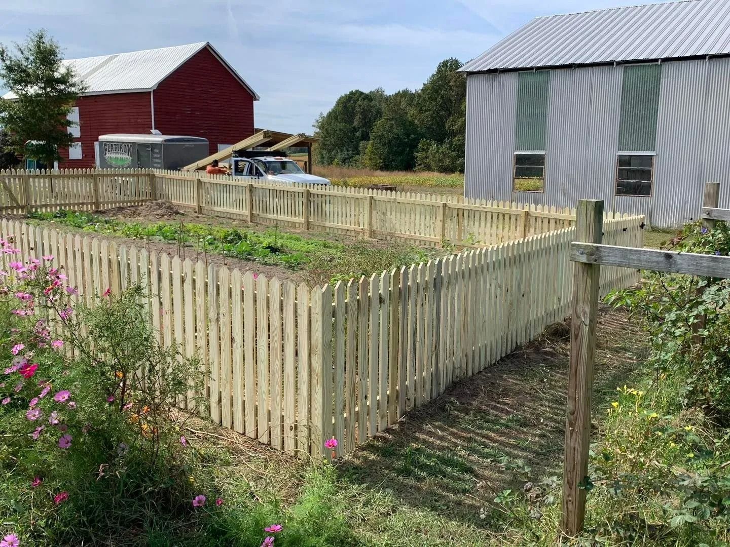 Wooden picket fence encloses a garden, with red barn and metal shed in the background. Sunny day.