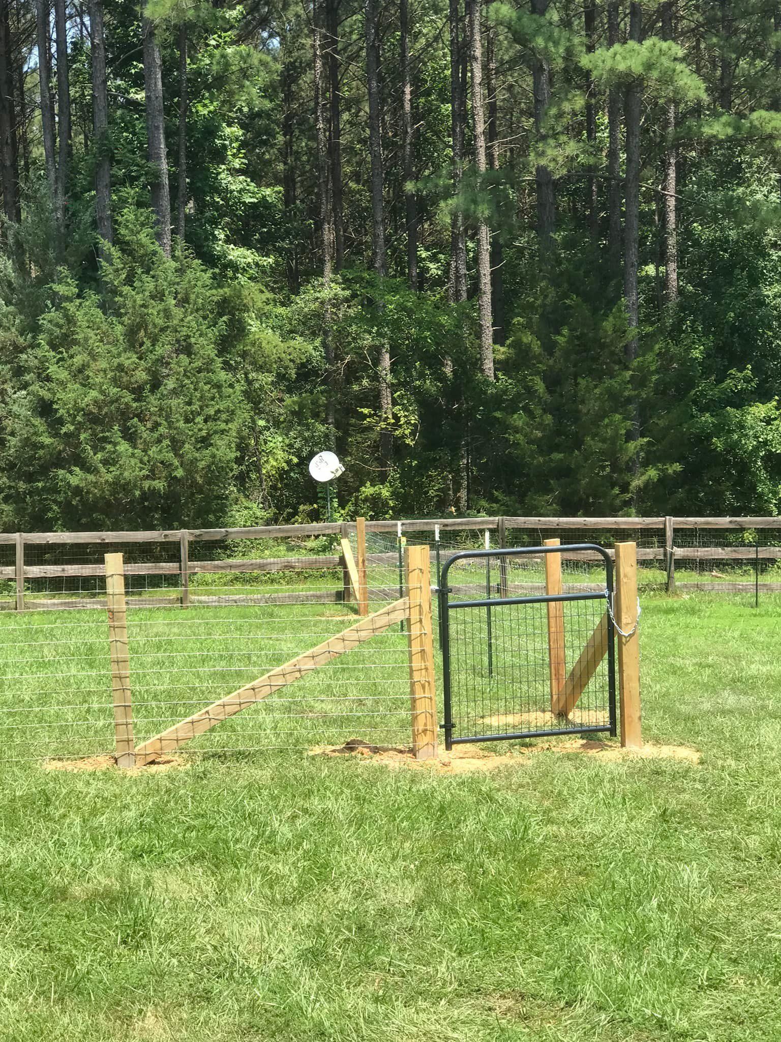 Dog agility course: a wooden ramp, gate, and fence in a grassy yard, with trees in the background.