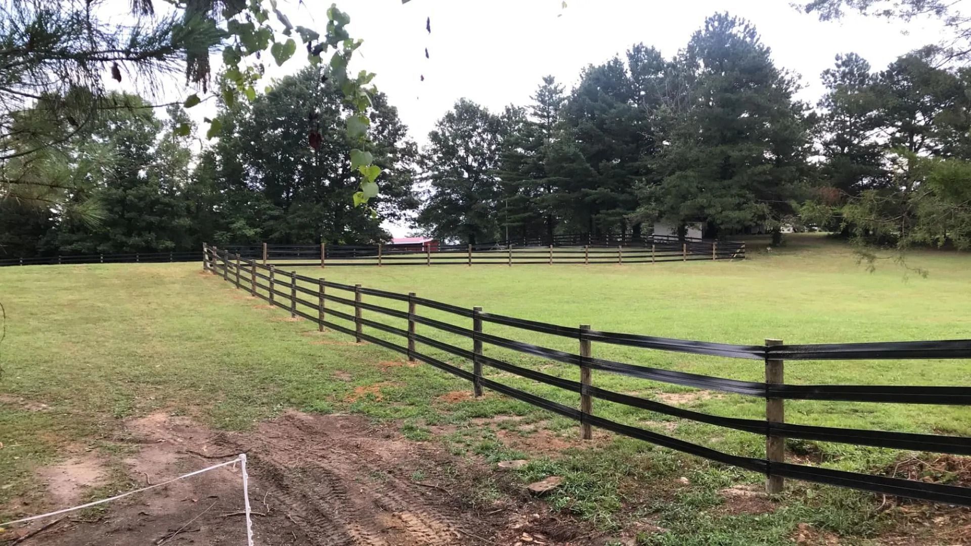 Wooden fence in a grassy field, trees in the background, overcast sky.