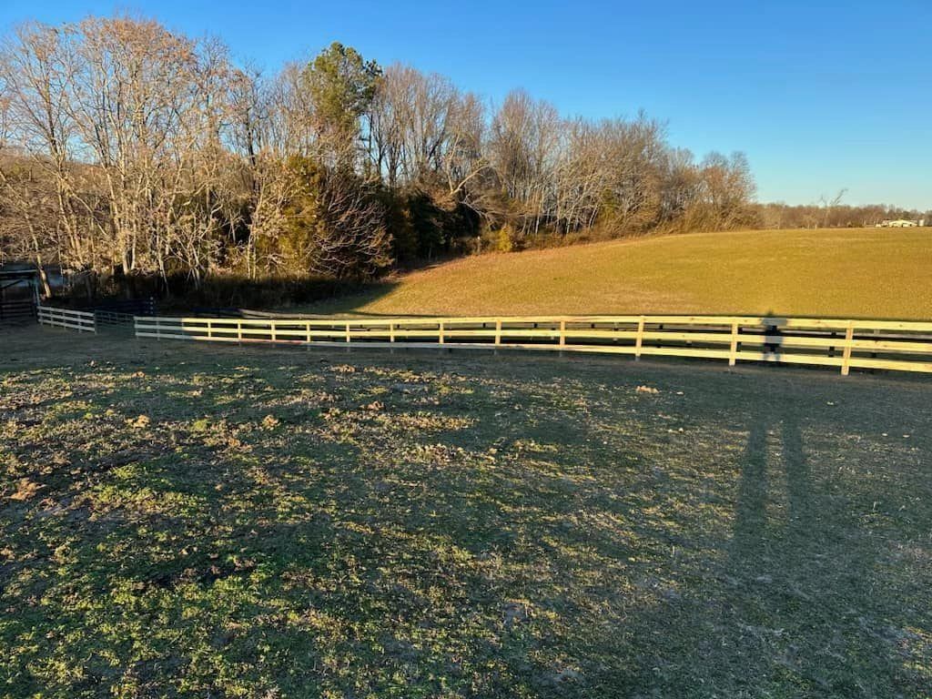 Green field with wooden fence, trees, and blue sky.