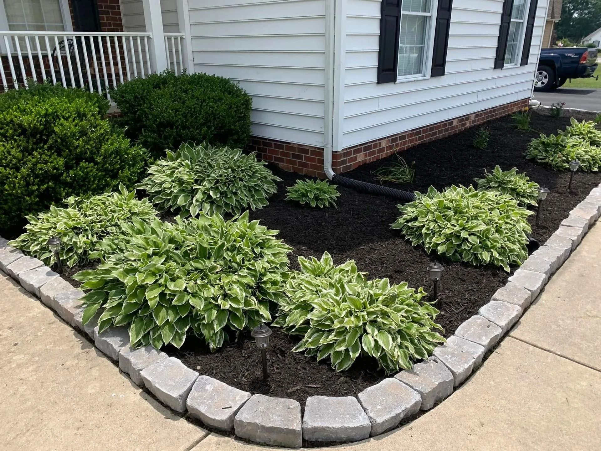 Garden bed with hostas and shrubs, bordered by gray pavers, next to a white house.