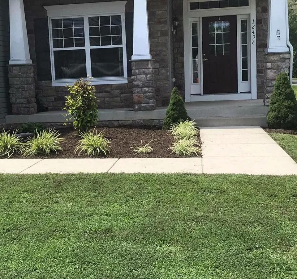 Stone-faced house with a dark door, sidewalk, and landscaped front yard with green grass and various plants.
