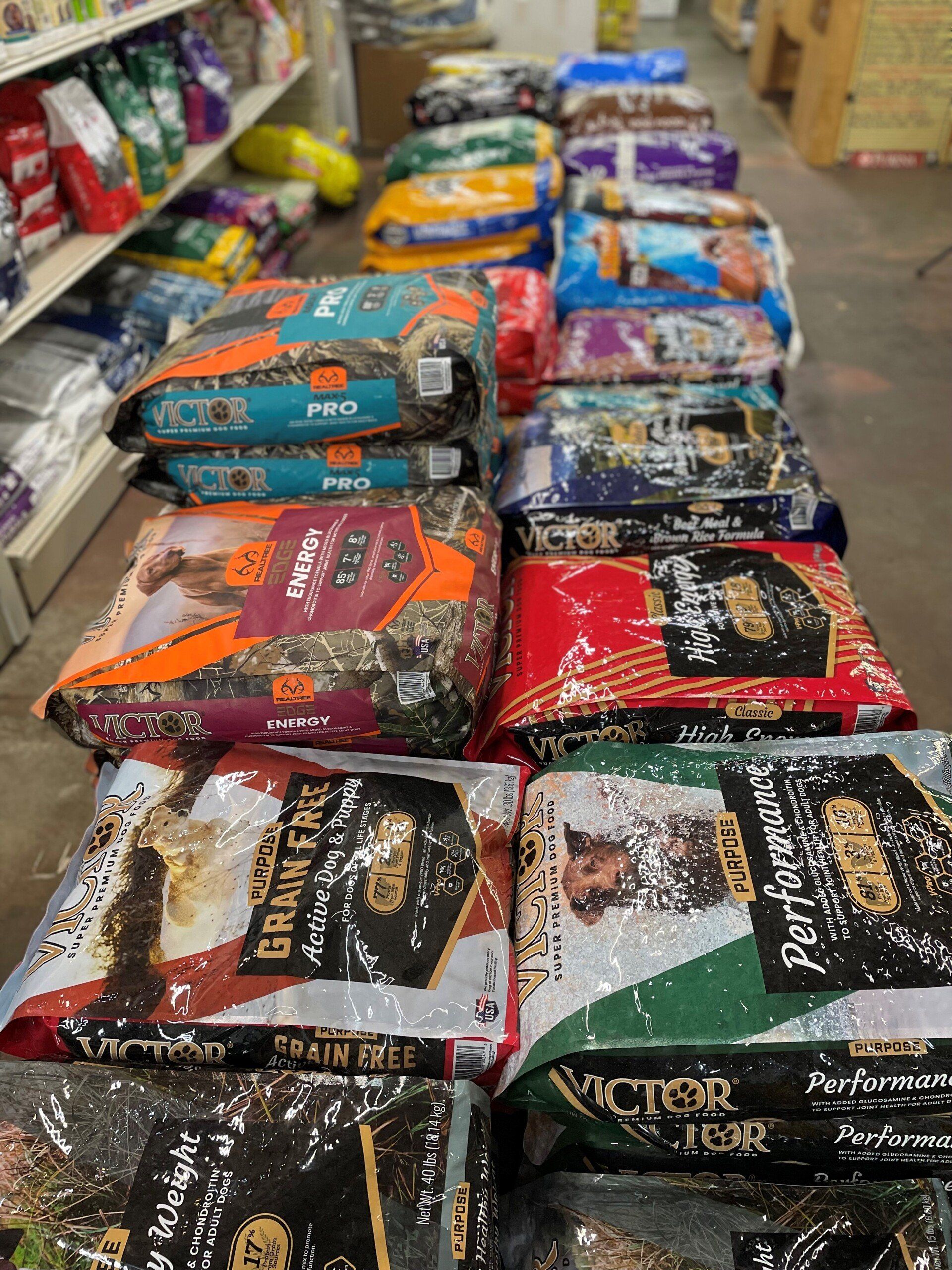 Dog food