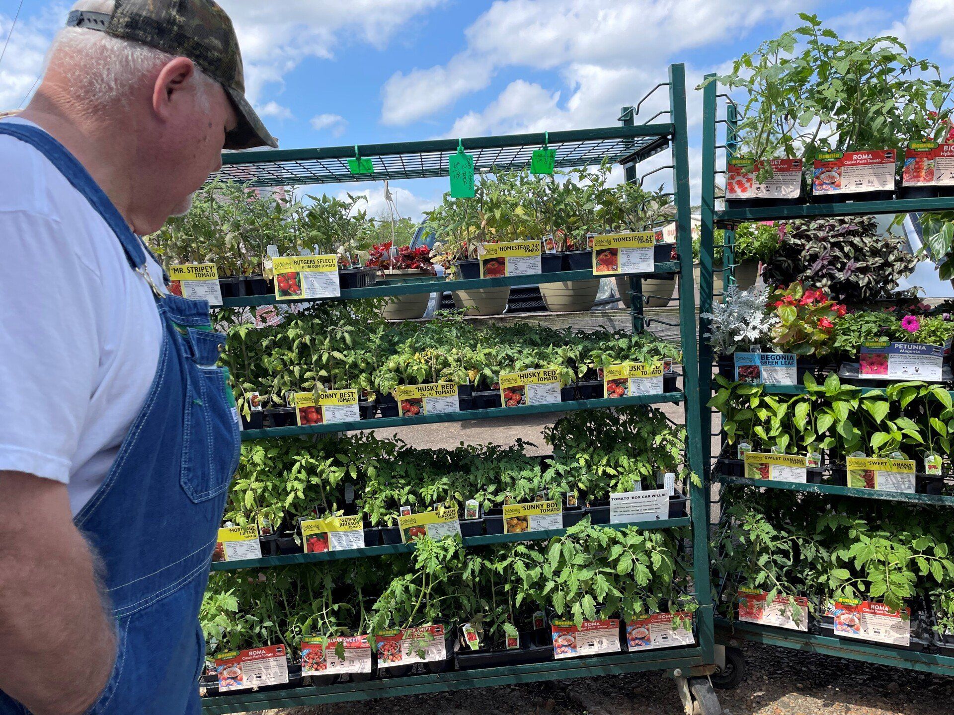 garden plants overalls